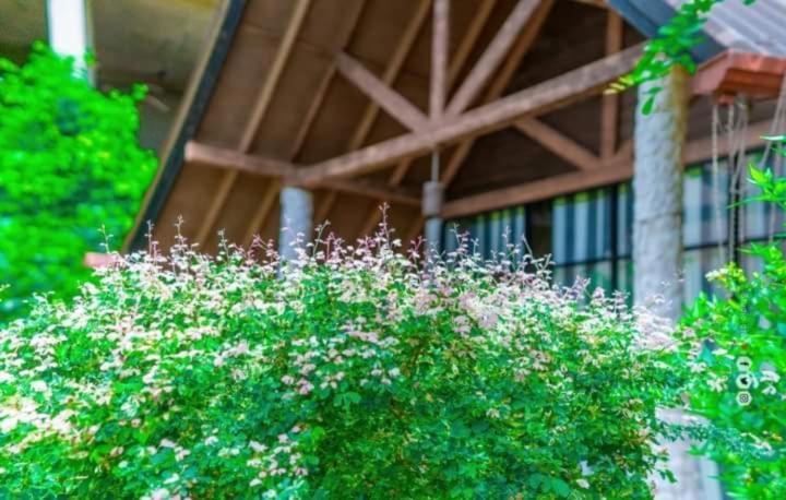Passi Nature Villas Passikudah Калкуда Экстерьер фото